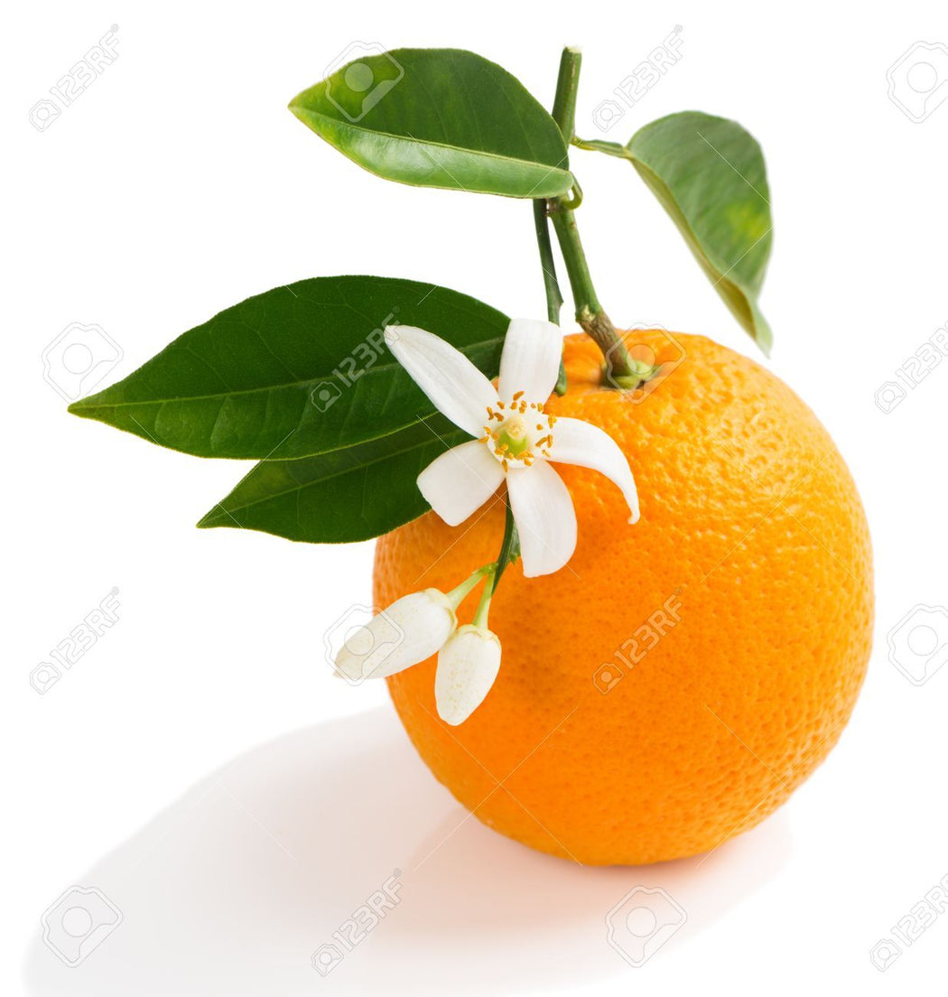 Organic Double Whipped Body Butter - Orange Blossom